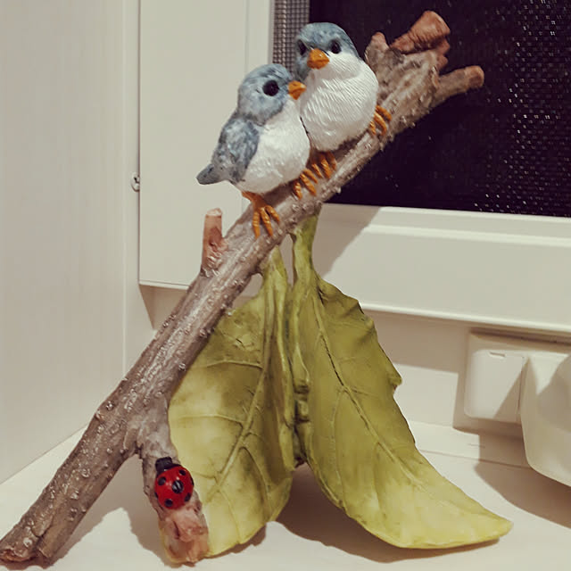 joninoriさんの実例写真