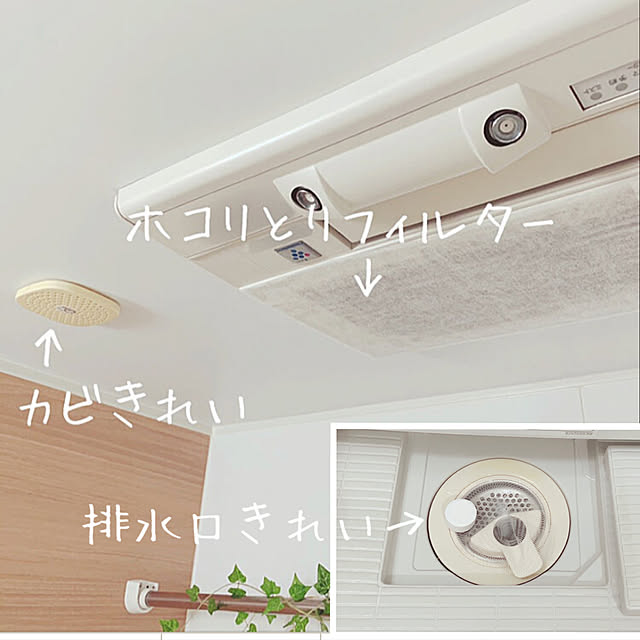 DailyRoomclip