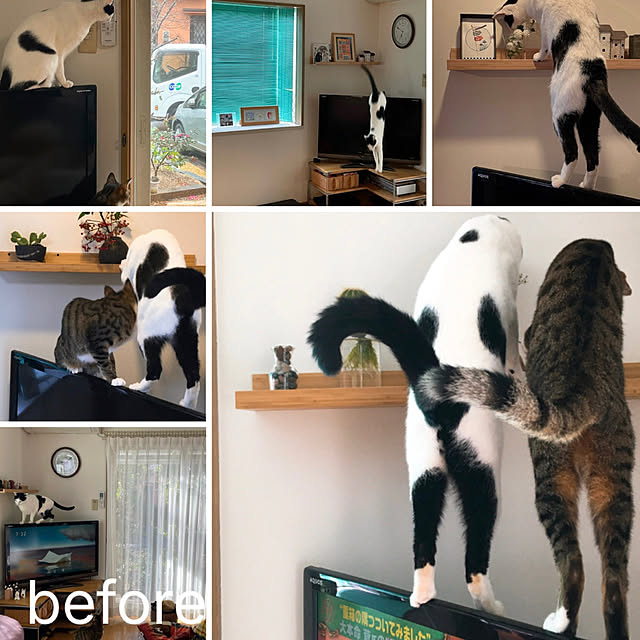 nobikoさんの部屋