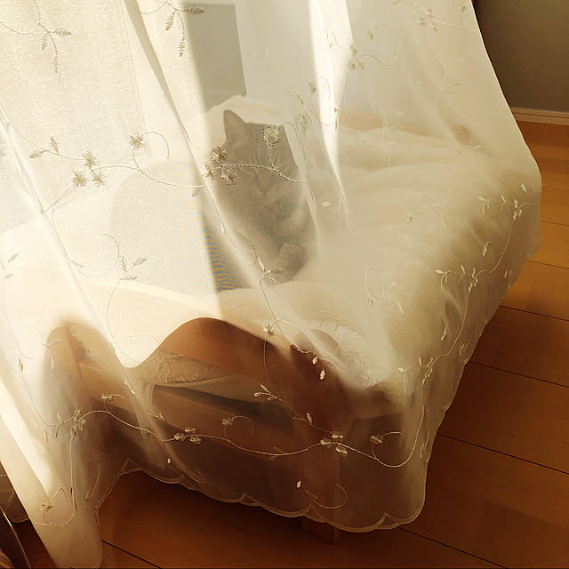 samaxさんの実例写真
