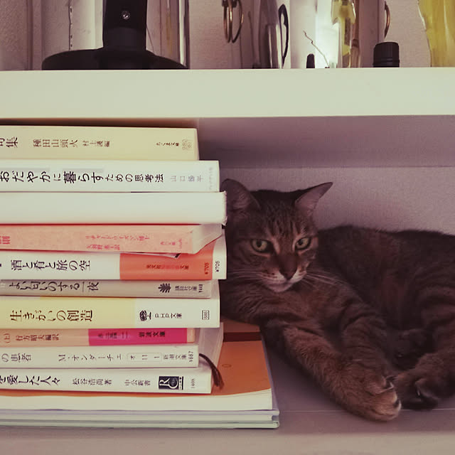 nahocさんの実例写真