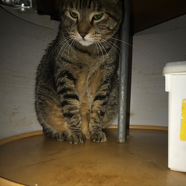 Kageboyさんの実例写真