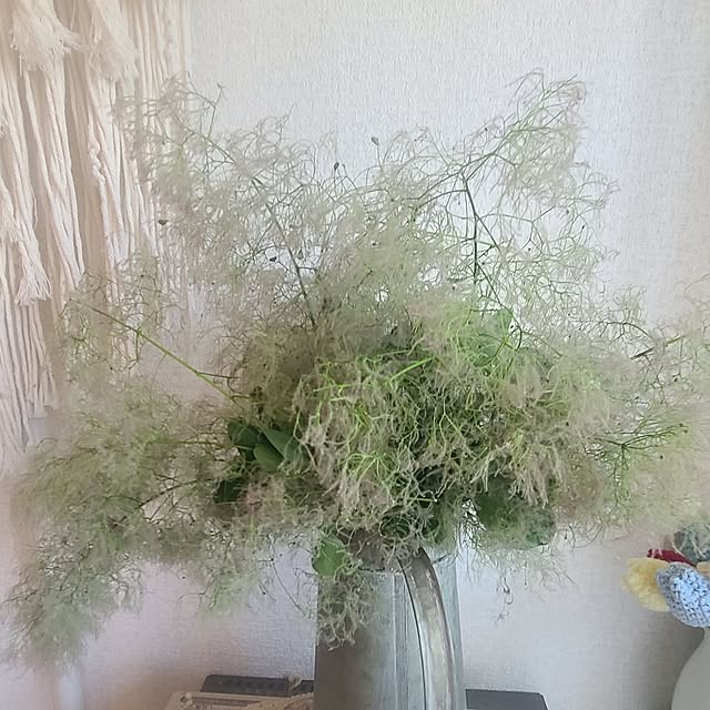 monnさんの部屋