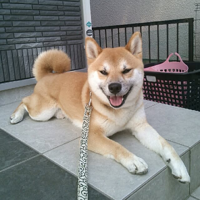 kotaさんの実例写真
