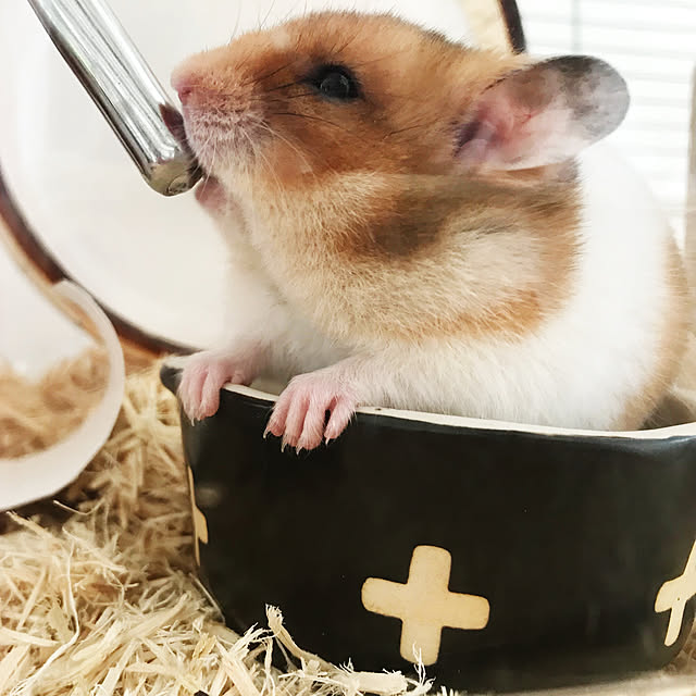 NoooAさんの実例写真