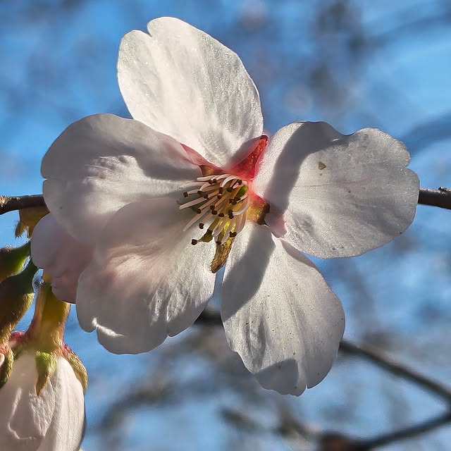 Rubiconさんの実例写真