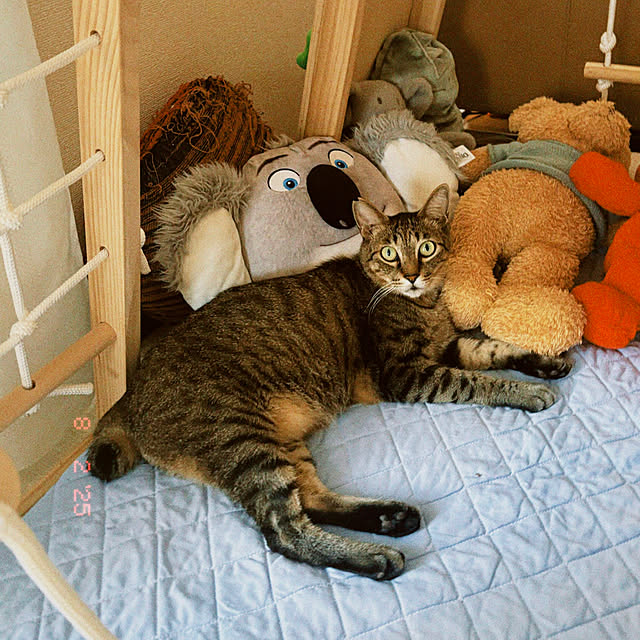 monicktsutsumiさんの部屋