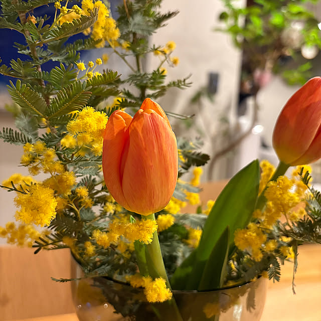 Y33355さんの部屋