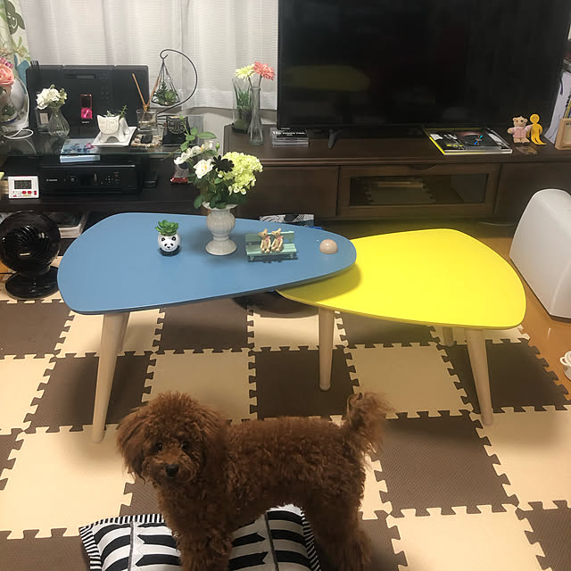 Ruyoさんの実例写真