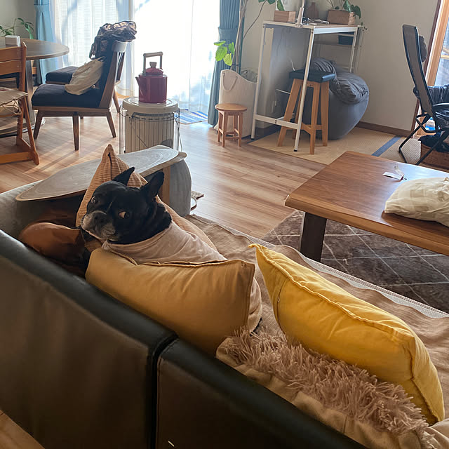 kotaroさんの部屋