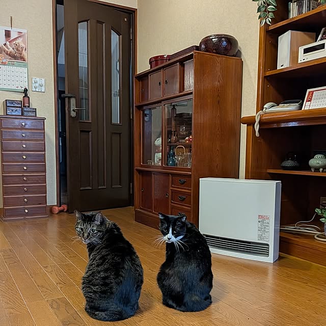 Mayumi8888さんの実例写真