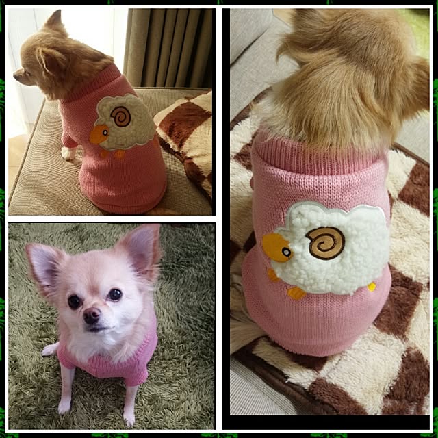 Naoさんの実例写真