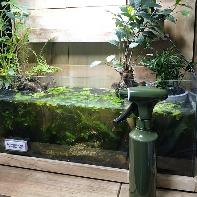opiopiopiさんの実例写真