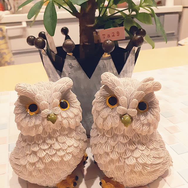 prepreさんの実例写真