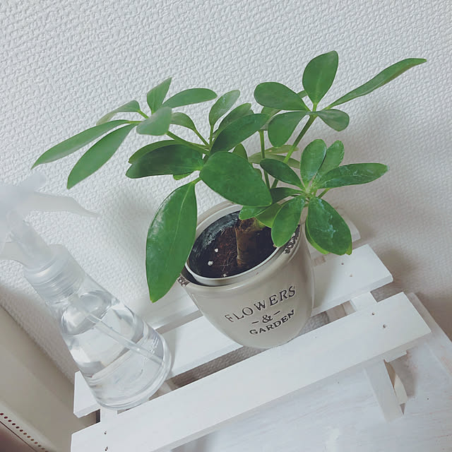 tomitamuさんの実例写真
