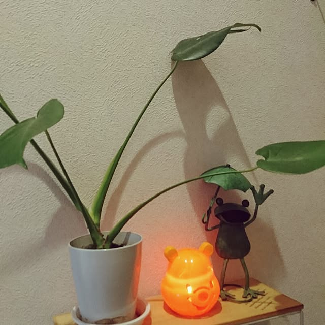 yukieさんの実例写真