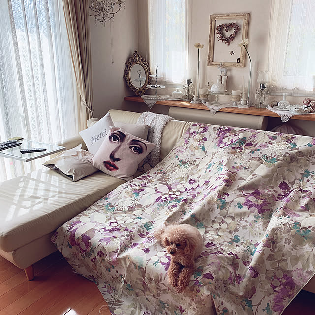 Momoさんの実例写真