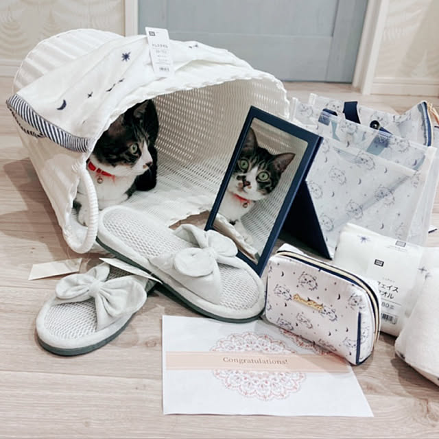 ippu0303Karinさんの実例写真
