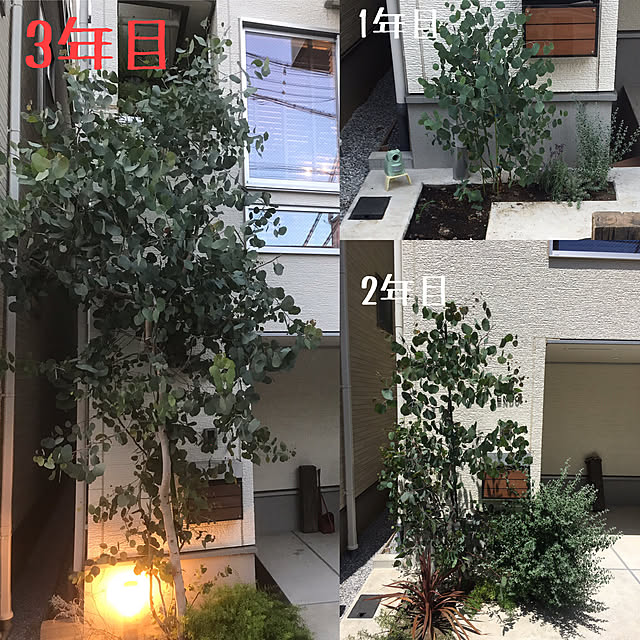 semaiouchiさんの実例写真