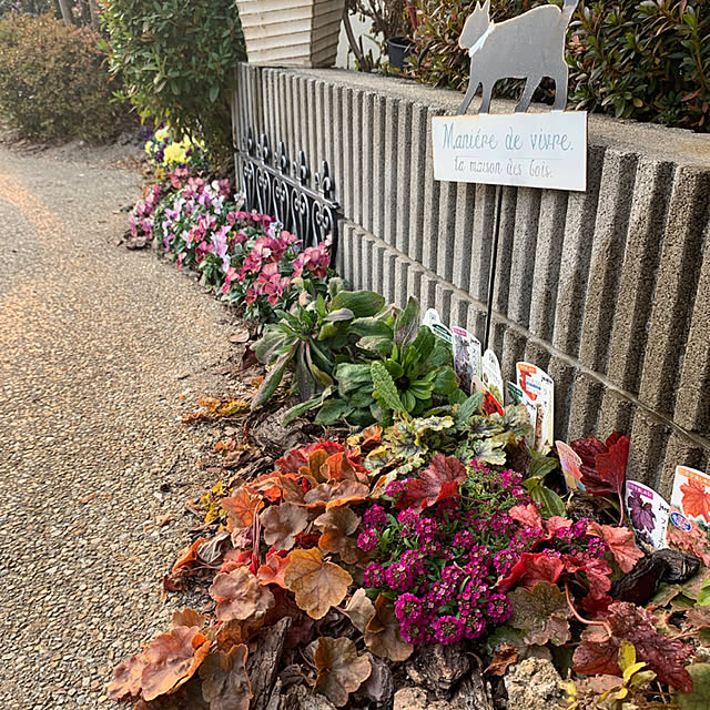 yukarin-gardenさんの実例写真