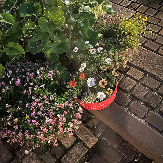 nobikoさんの部屋