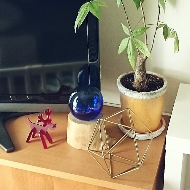 moooottttyさんの実例写真