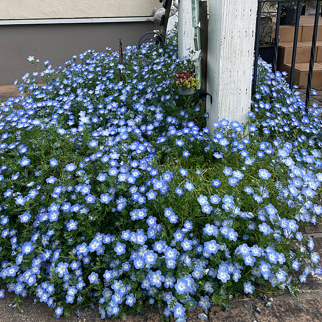 usakoさんの部屋