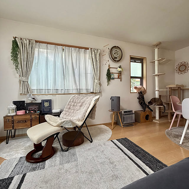 chiiさんの実例写真