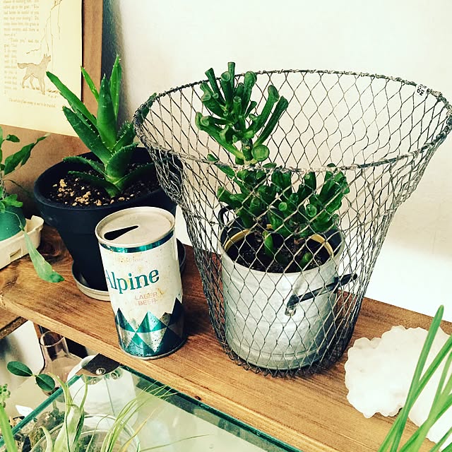 interior_yuさんの実例写真