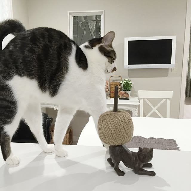 yuchiさんの実例写真