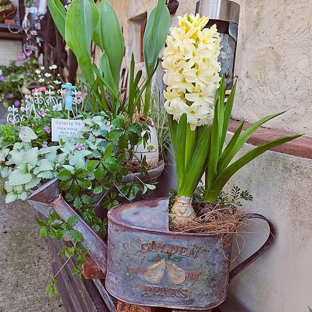 mocomocoさんの部屋