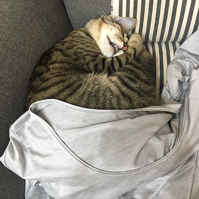 maro.kさんの実例写真