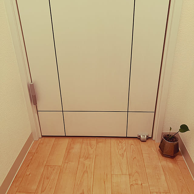 Mikiさんの実例写真