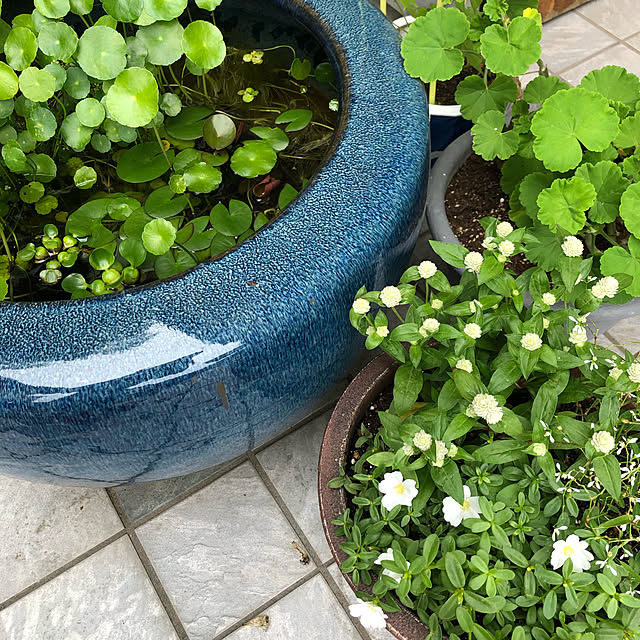 mutsuさんの実例写真
