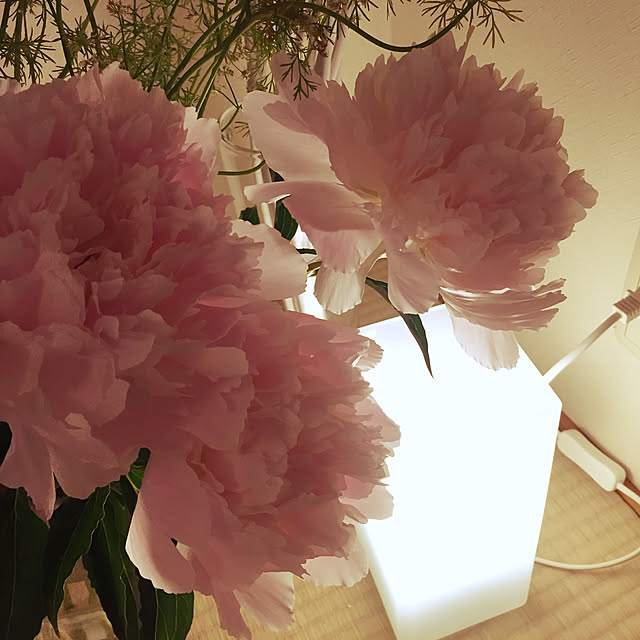 Tenさんの実例写真