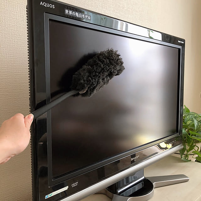 RanRanさんの実例写真