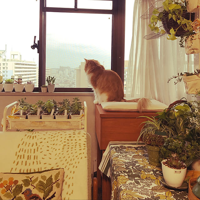 uchidaizuさんの実例写真
