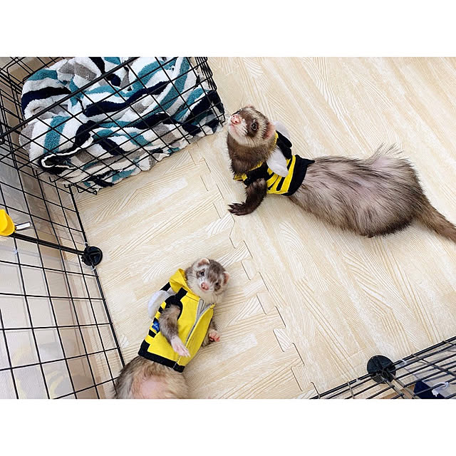 chaluさんの実例写真