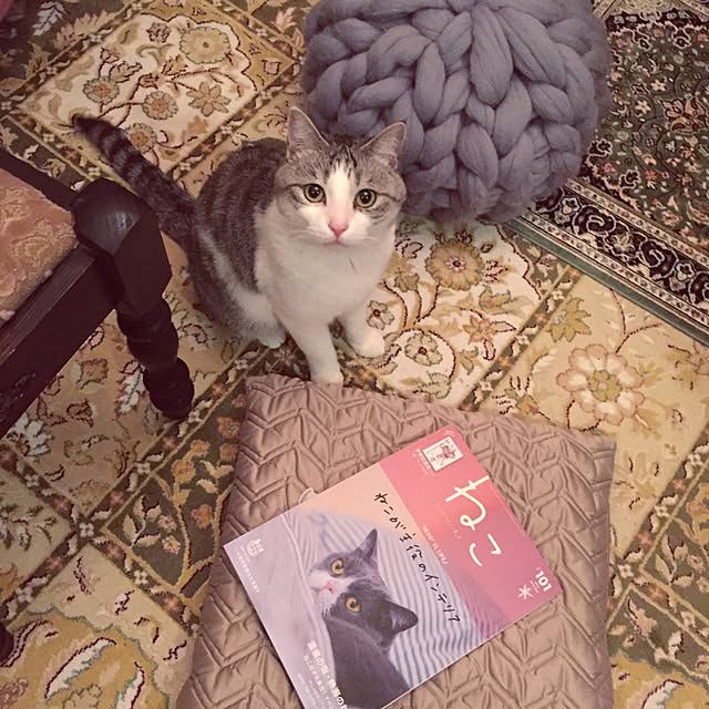 emmyyさんの実例写真