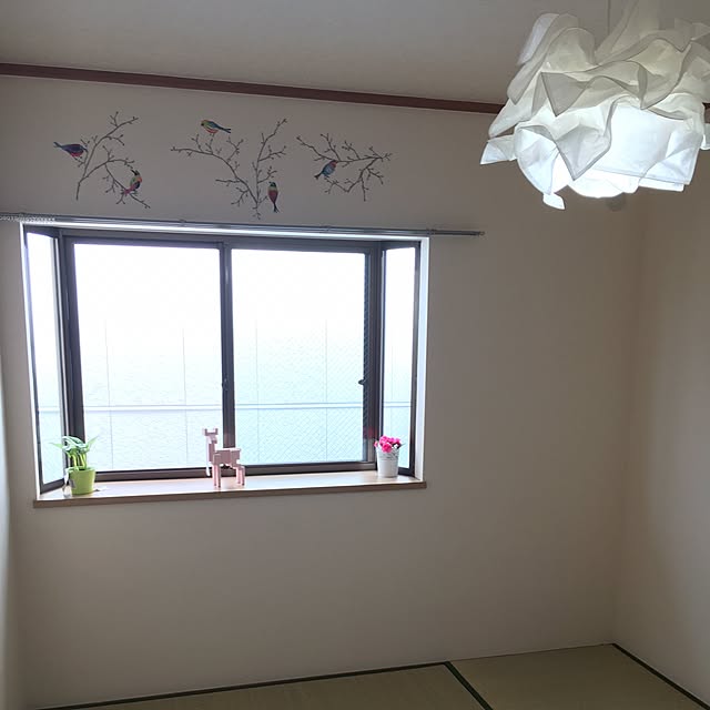 実例写真