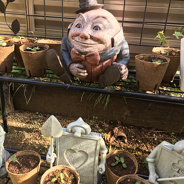 seiasaさんの実例写真