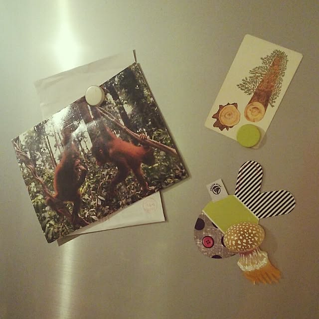 yuiticさんの実例写真