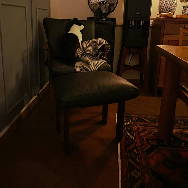 amyさんの実例写真
