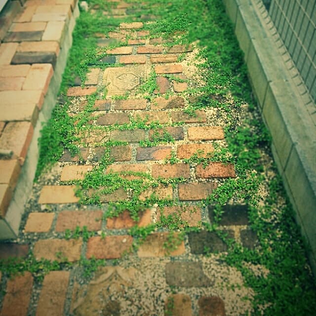SVsoldiersさんの実例写真