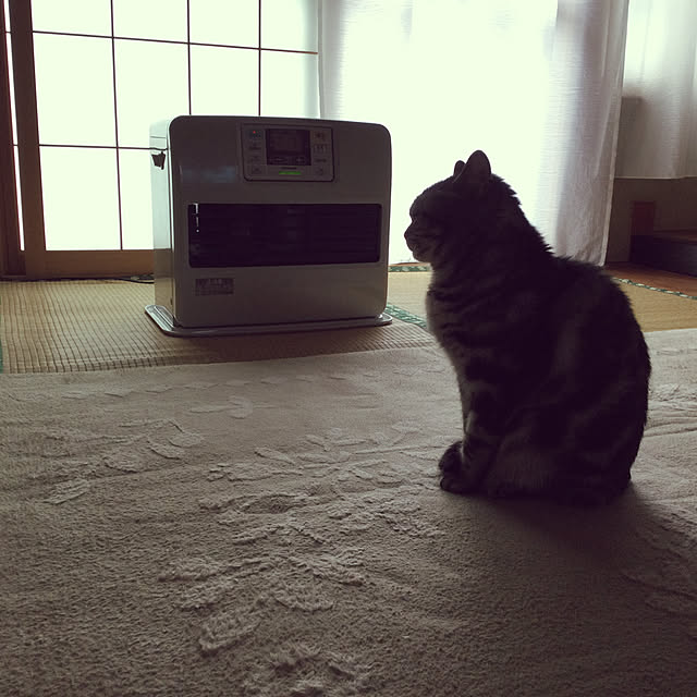 richanさんの実例写真