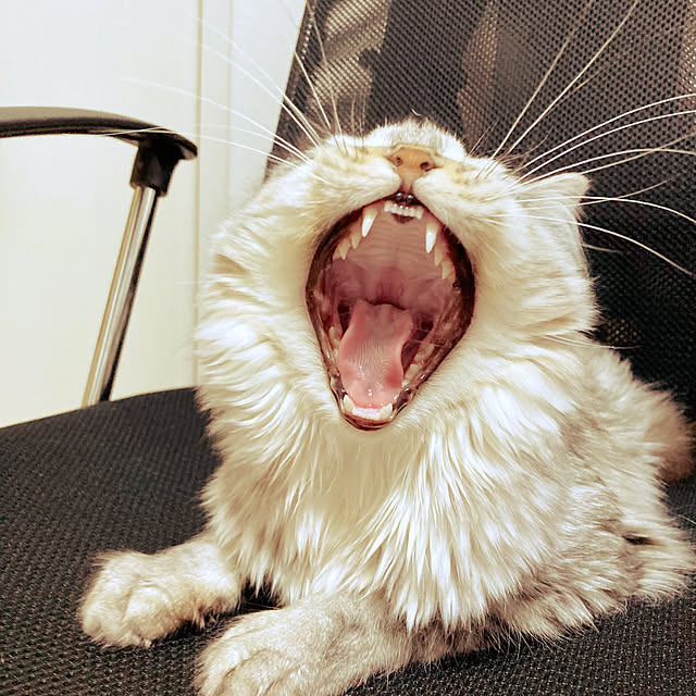 kkkさんの実例写真