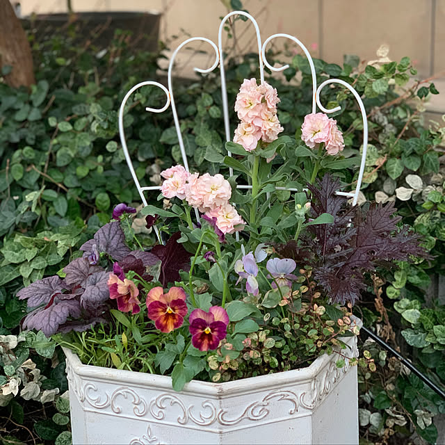 yukarin-gardenさんの実例写真
