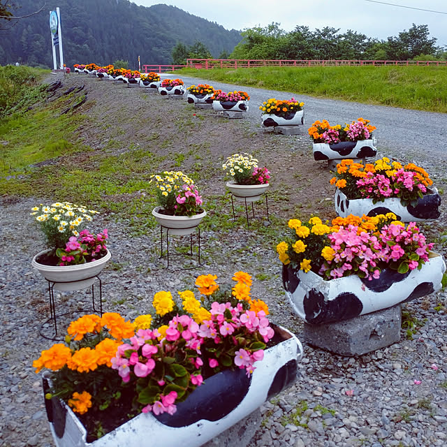 ree.yoshi-1001さんの実例写真