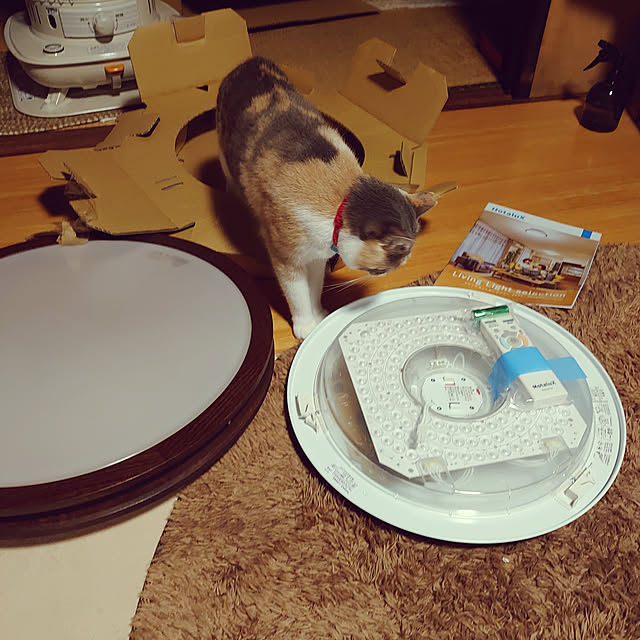 fukuさんの実例写真