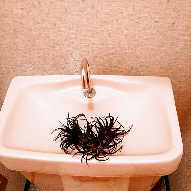 0c.c0さんの実例写真